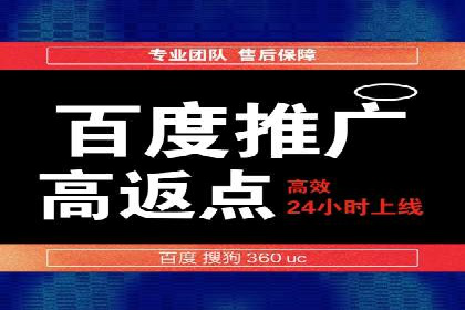百度SEO推广案例：实战解析与优化建议